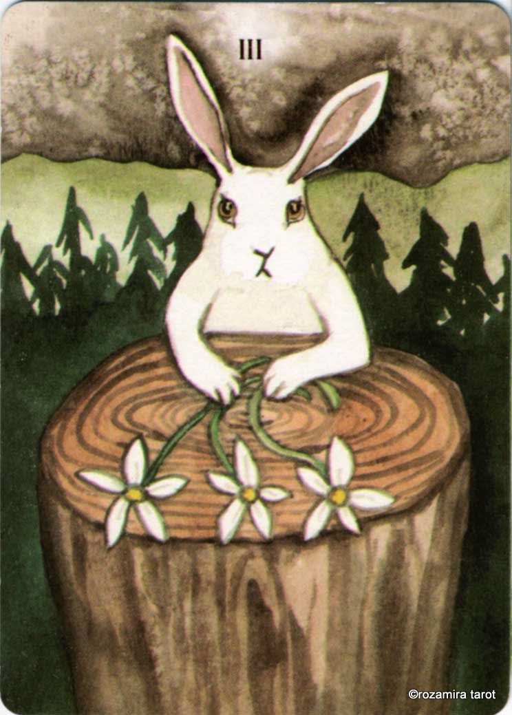 Rabbit Tarot